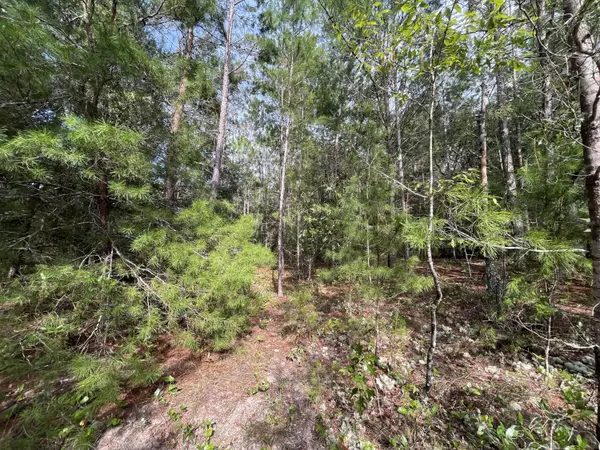 Interlachen, FL 32148,Tbd Neisman Ave