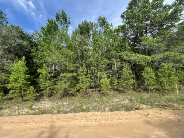 Interlachen, FL 32148,Tbd Neisman Ave