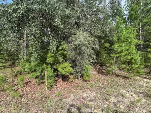 Interlachen, FL 32148,Tbd Neisman Ave