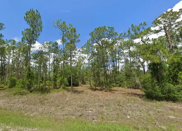 1223 N Richmond AVE, Lehigh Acres, FL 33972