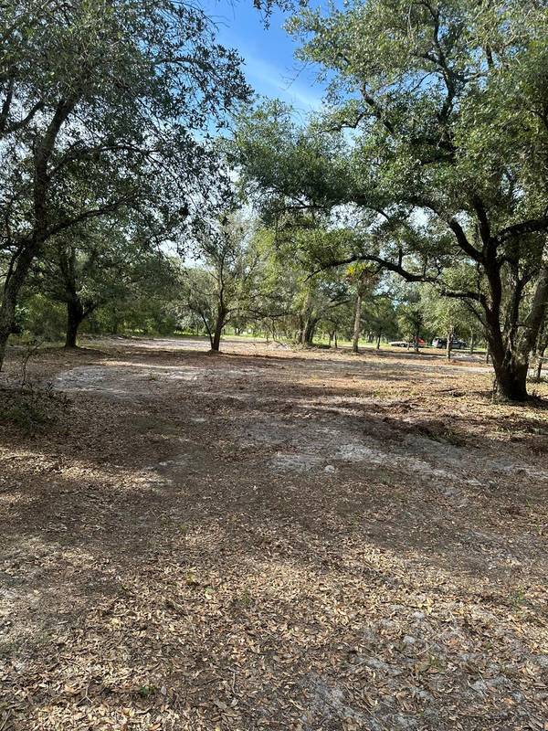 22134 NW 264th ST, Okeechobee, FL 34972