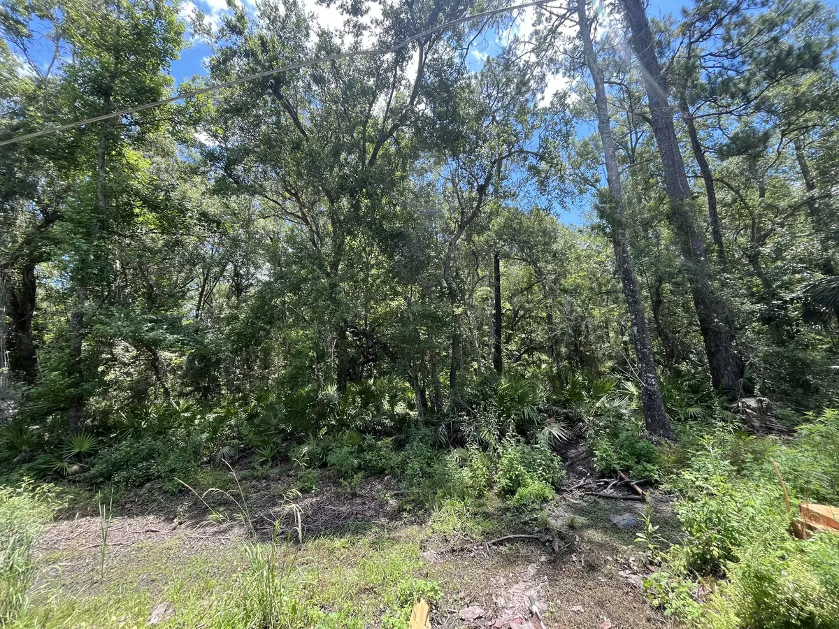 Crawfordville, FL 32327,Tbd Franklin DR