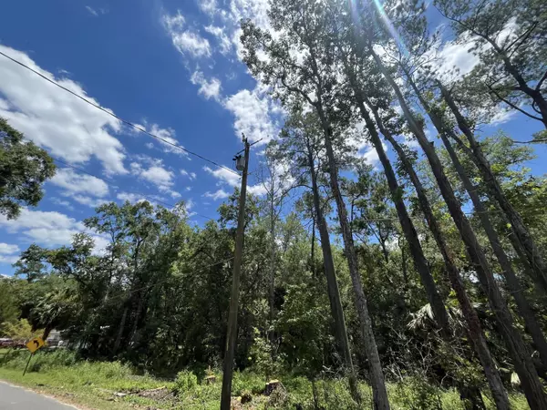 Crawfordville, FL 32327,Tbd Franklin DR