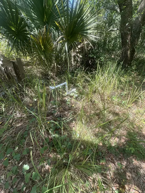 Okeechobee, FL 34972,22128 NW 258th ST