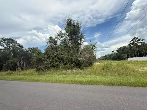 Tbd Locust TER, Ocala, FL 34472