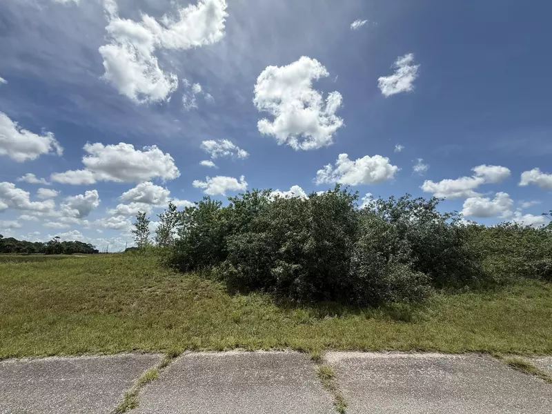 113 Liberty TER, Labelle, FL 33935