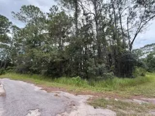 Ocala, FL 34472,Tbd Locust Pl CT