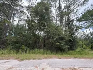 Ocala, FL 34472,Tbd Locust Pl CT