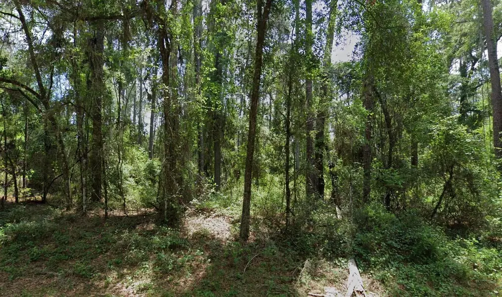 1032 E Vercelli LN, Citrus Springs, FL 34434