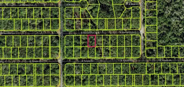 Citrus Springs, FL 34434,1032 E Vercelli LN