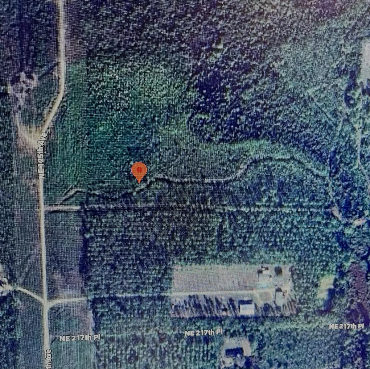 Fort Mccoy, FL 32134,Tbd Ne 125th Ave