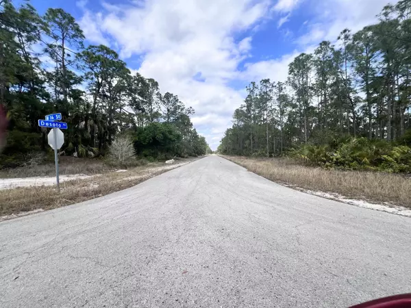 Lehigh Acres, FL 33972,1610 Desoto AVE
