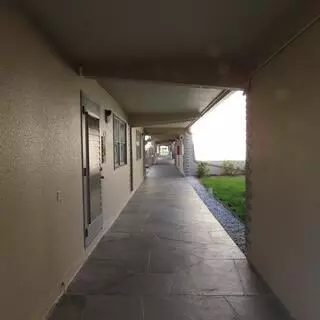 Delray Beach, FL 33446,445 Brittany J 445