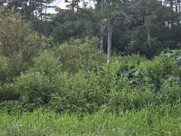 The Acreage, FL 33470,16570 N 61st PL