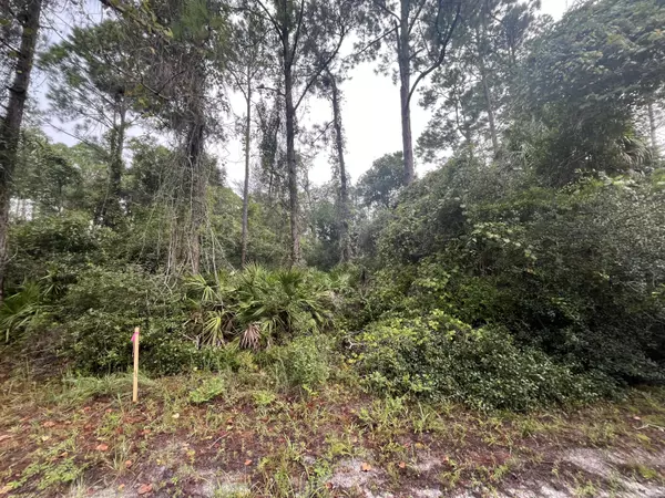 Georgetown, FL 32139,120 Gardenia AVE