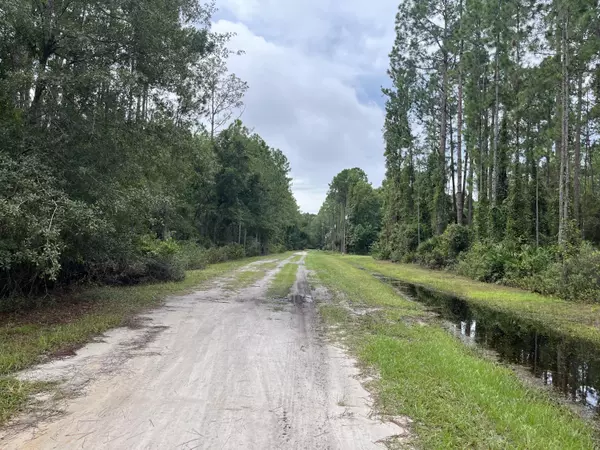 Georgetown, FL 32139,117 Mosswood ST