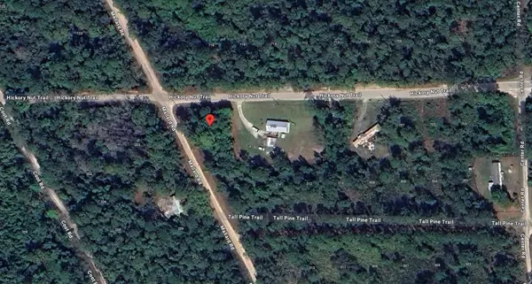 Satsuma, FL 32189,0 Hickory Nut Trail TRL