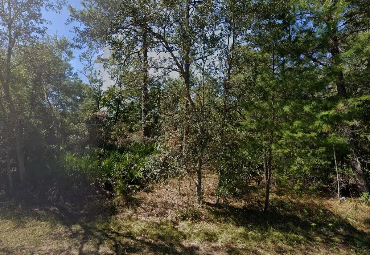 Interlachen, FL 32148,Tbd Theresa AVE