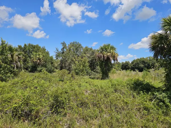 Okeechobee, FL 34972,16919 NW 268 ST