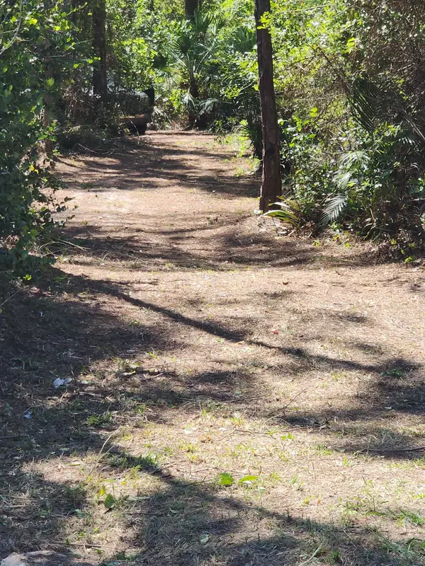 The Acreage, FL 33470,16784 N 84th CT