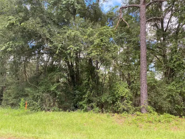 Citrus Springs, FL 34434,425 E Elgrove DR