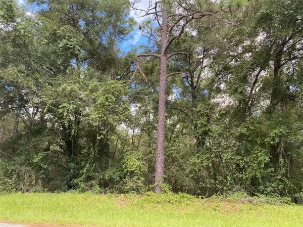 Citrus Springs, FL 34434,425 E Elgrove DR