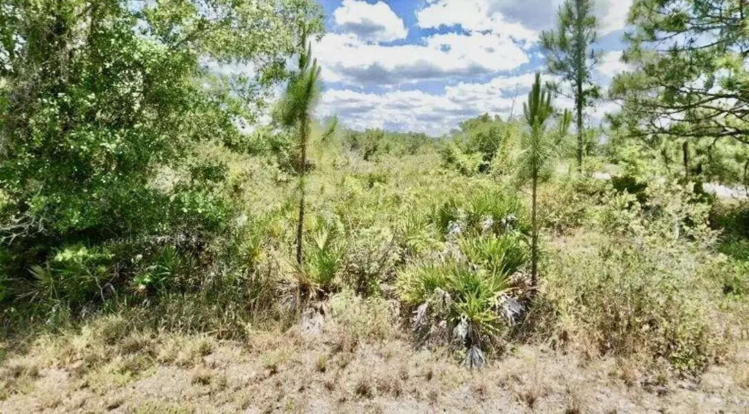 3362 Rhododendron RD, Lake Placid, FL 33852