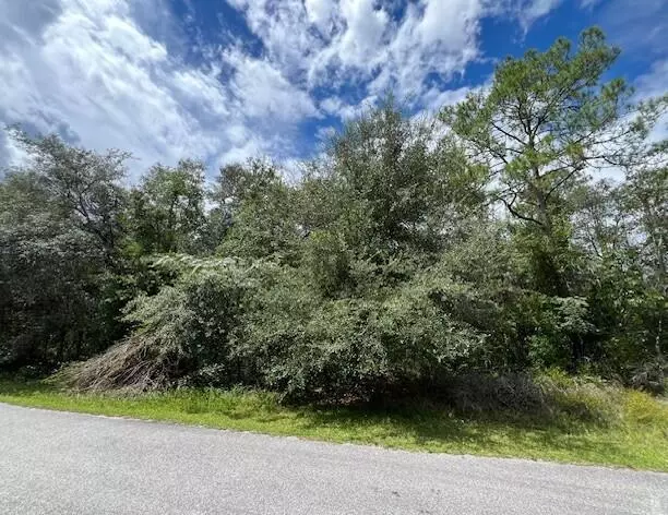 Citrus Springs, FL 34433,6252 N Cavalier TER
