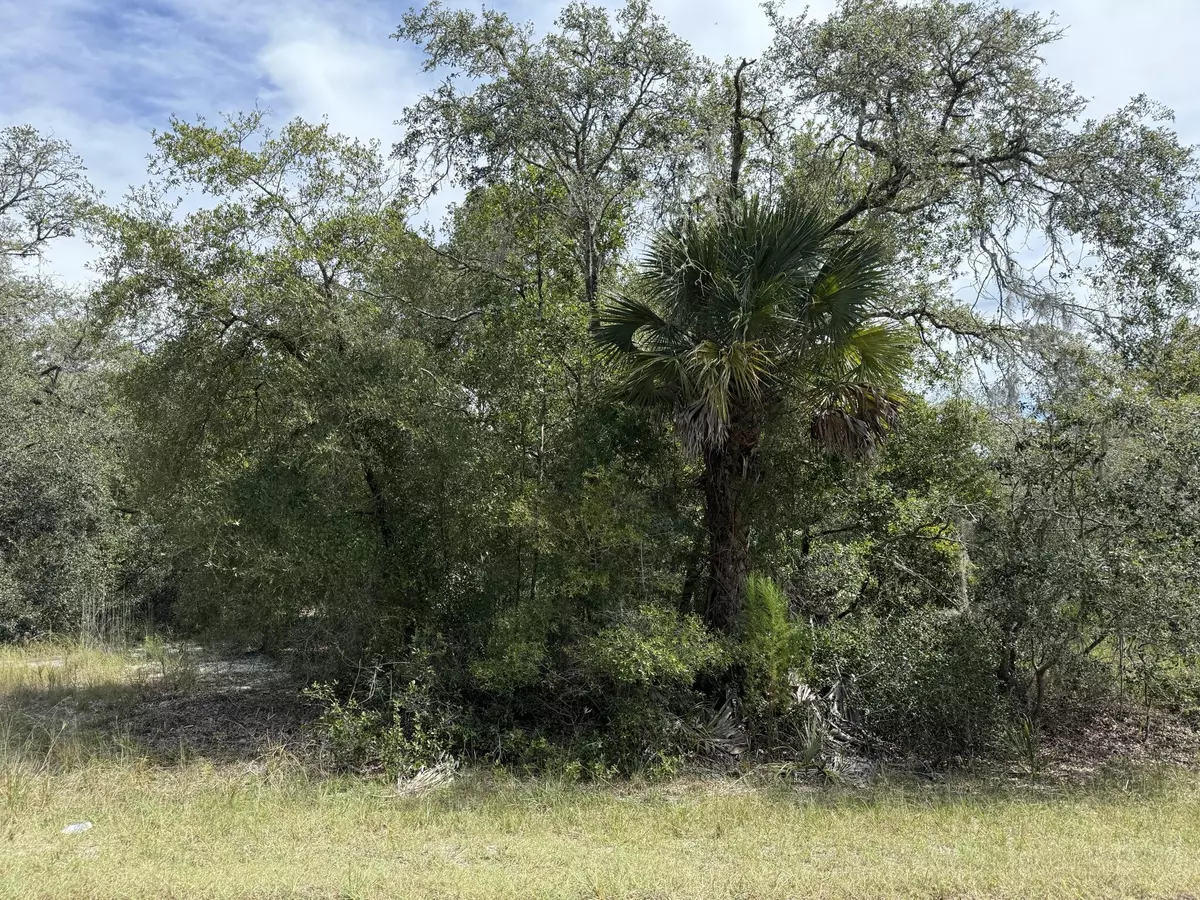 Crystal River, FL 34428,9793 N Alder AVE