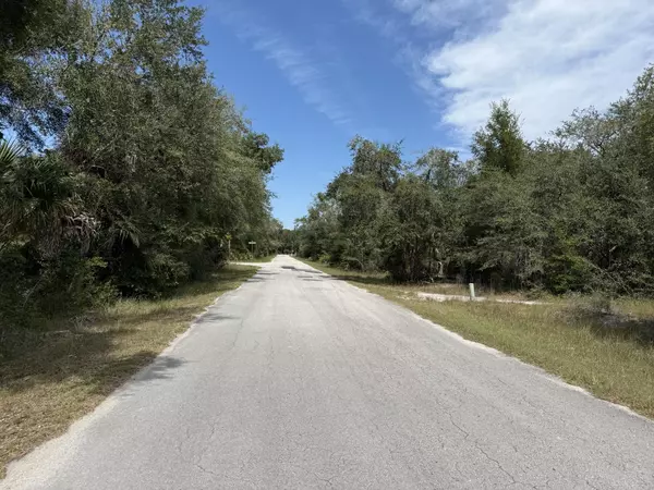 Crystal River, FL 34428,9793 N Alder AVE