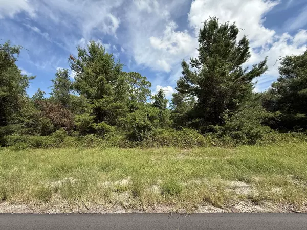 Tbd 177th PL, Ocala, FL 34473