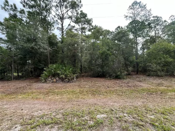 Georgetown, FL 32139,122 / 124 Glenside ST