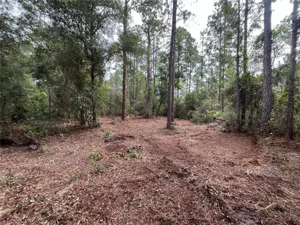 Georgetown, FL 32139,122 / 124 Glenside ST