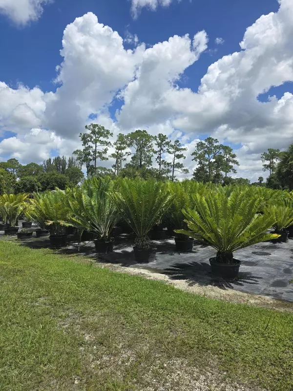 Loxahatchee Groves, FL 33470,0000 B RD