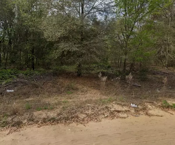 Interlachen, FL 32148,2 N Helmers AVE