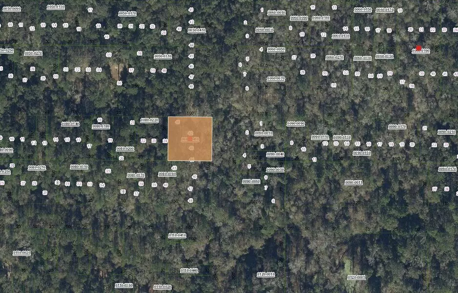 Tbd Unassigned, Hawthorne, FL 32640