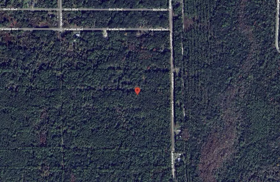 329 Chipola DR, Georgetown, FL 32139