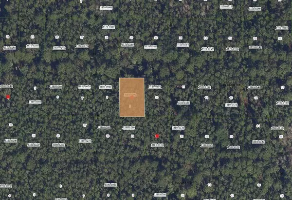 Georgetown, FL 32139,317 Tropical DR