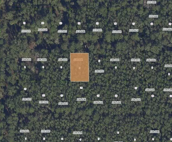 Georgetown, FL 32139,307 Tropical DR