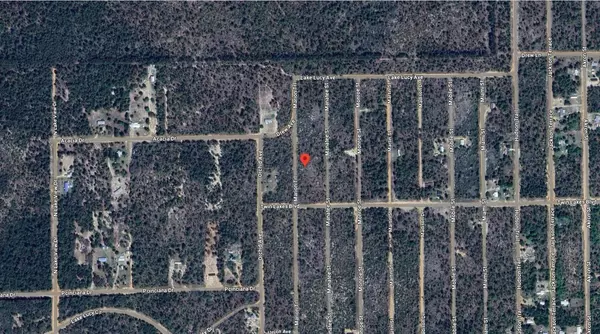 Interlachen, FL 32148,206 Marion TRL