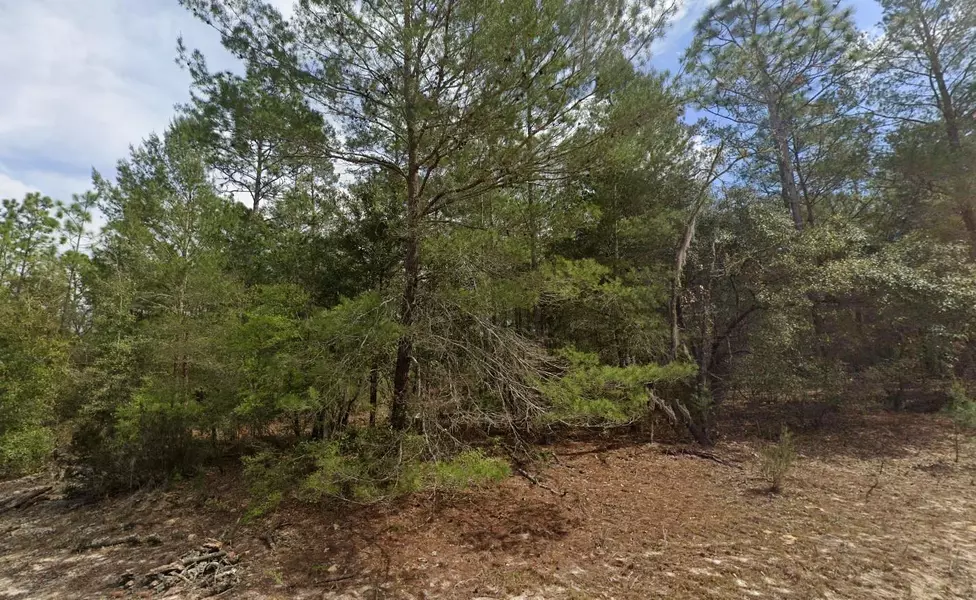 522 Janet AVE, Interlachen, FL 32148