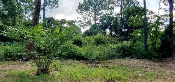 Vero Beach, FL 32966,9730 20th LN