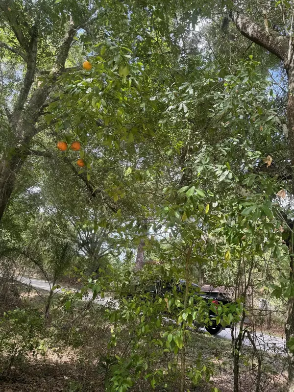 Avon Park, FL 33825,120 S Graham RD