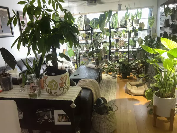 West Palm Beach, FL 33409,3511 Village BLVD 302