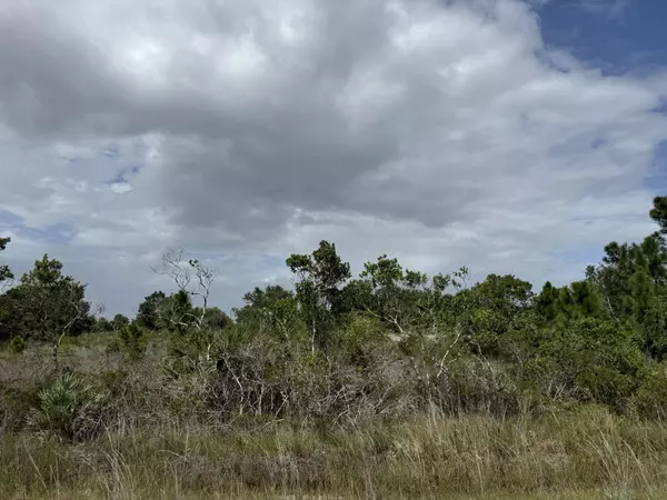 15264 NW 310th ST, Okeechobee, FL 34972