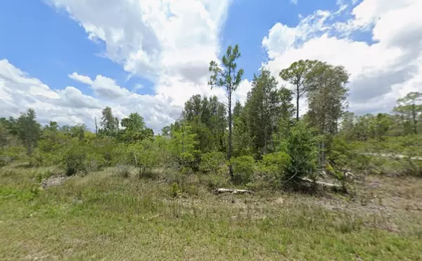 1936 Montero AVE, Lehigh Acres, FL 33972