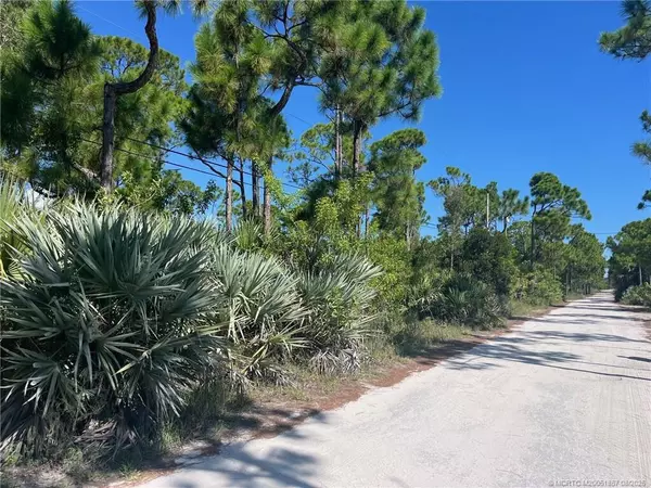 Lakewood Park, FL 34951,X Tree Top TRL