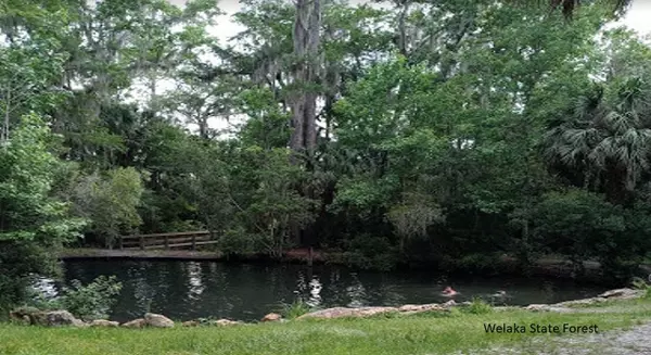 Interlachen, FL 32148,Tbd Flamingo DR