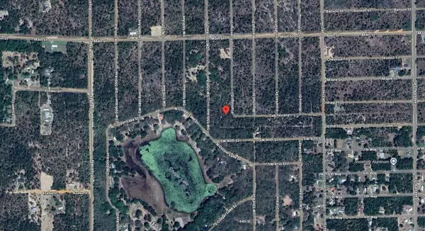 Interlachen, FL 32148,Tbd Flamingo DR