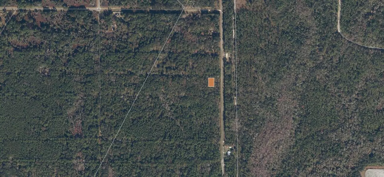 339 Chipola DR, Georgetown, FL 32139